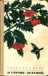 В стране зеленой - автор Александров Борис Александрович 