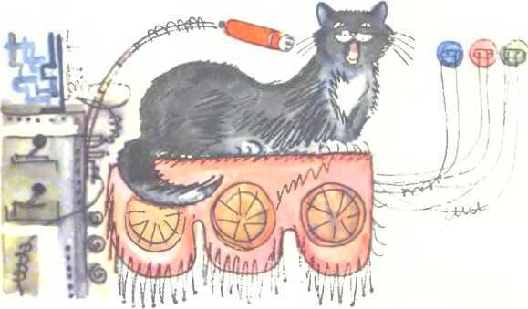 Говорящая машина - i_013.jpg