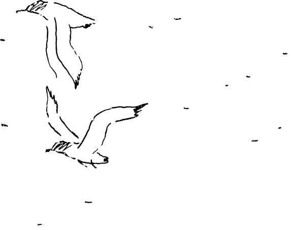 Зелёное, красное, зелёное...<br />(Повесть) - i_005.jpg