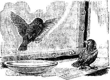 Рассказы и сказки русских писателей - i_064.jpg