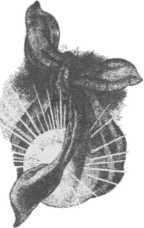 Старинные эстонские народные сказки - i_058.jpg