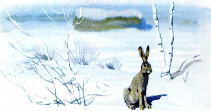 В березовой роще<br />(Рассказы) - i_021.jpg