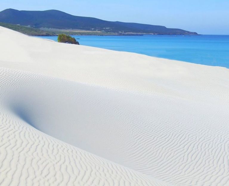 Холостяк для блондиночки (СИ) - _19.jpg