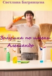  Багрянцева Светлана - Золушка по имени Александр (СИ)