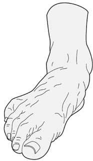 Здоровье через стопы - i_003.jpg