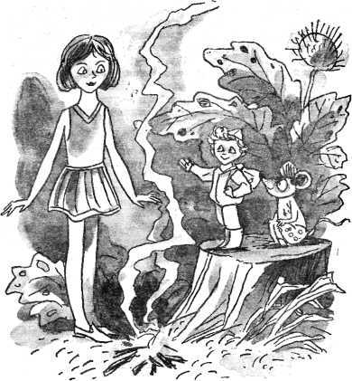 Каникулы в стране сказок - i_033.jpg