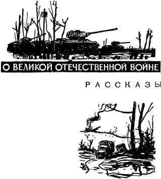 Военные рассказы и очерки - i_002.jpg