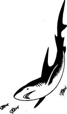 От «Наутилуса» до батискафа - i_048.jpg