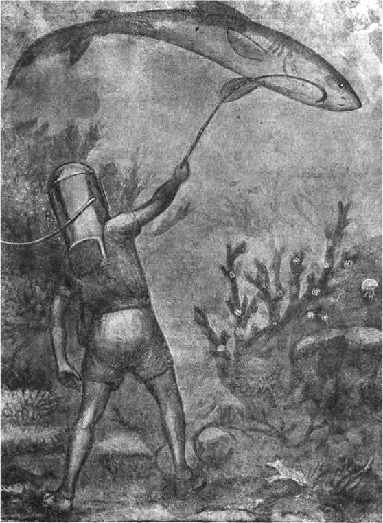 В морской глубине - i_007.jpg