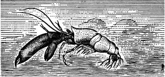 В морской глубине - i_013.jpg