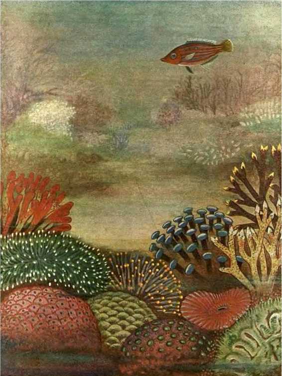 В морской глубине - i_018.jpg