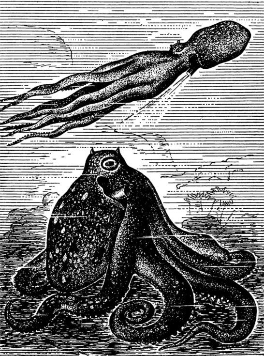 В морской глубине - i_025.jpg