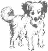 Лёля и Минька<br />Рассказы - i_007.jpg