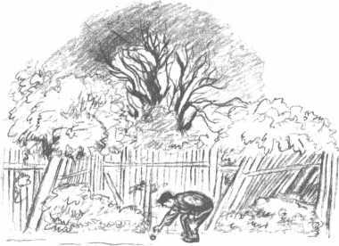 Лёля и Минька<br />Рассказы - i_024.jpg