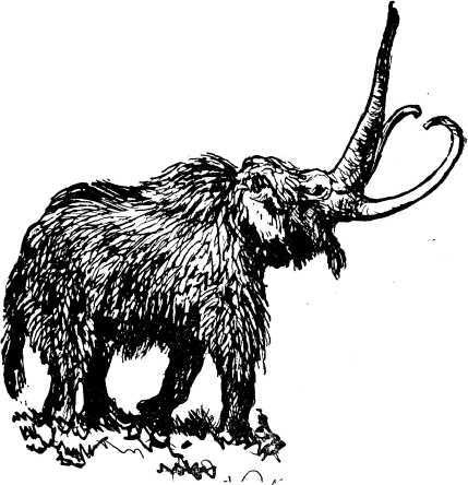 Охотники на мамонтов<br />(Повесть) - i_011.jpg