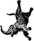 Охотники на мамонтов<br />(Повесть) - i_013.jpg