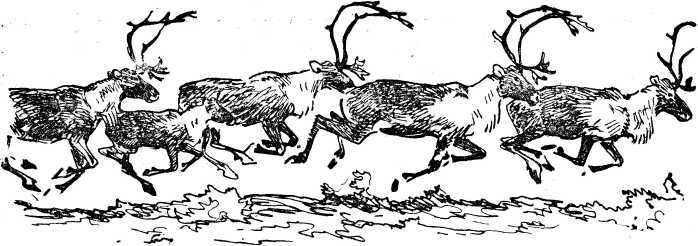 Охотники на мамонтов<br />(Повесть) - i_032.jpg