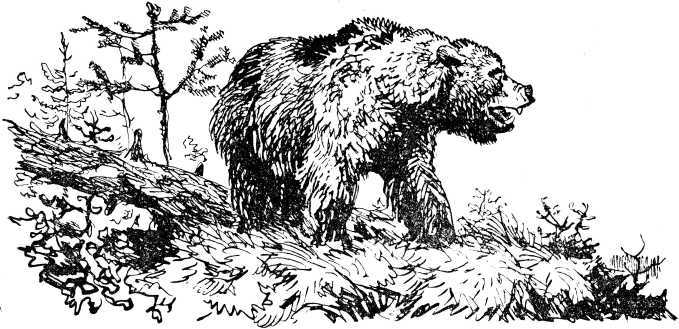 Охотники на мамонтов<br />(Повесть) - i_045.jpg