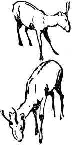 Охотники на мамонтов<br />(Повесть) - i_060.jpg