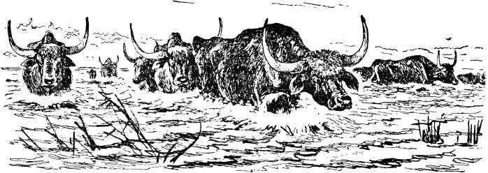 Охотники на мамонтов<br />(Повесть) - i_068.jpg