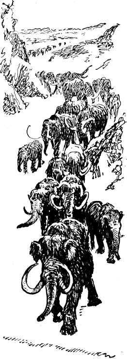 Охотники на мамонтов<br />(Повесть) - i_082.jpg