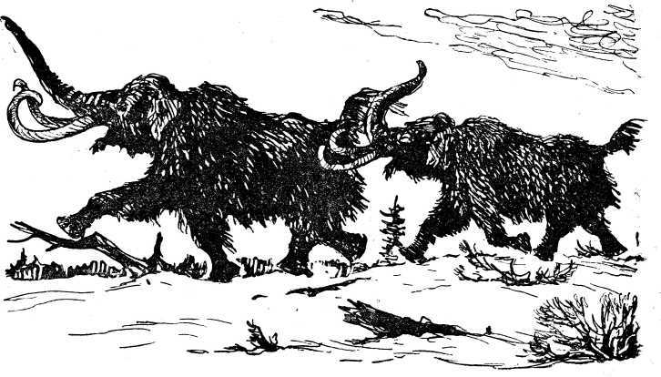 Охотники на мамонтов<br />(Повесть) - i_102.jpg