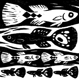 Перспективы отбора - i_033.png