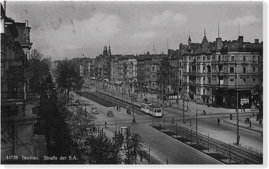 Трезориум (адаптирована под iPad) - i_003.png