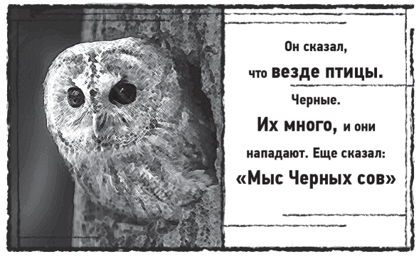 Мыс Чёрных сов - i_014.png