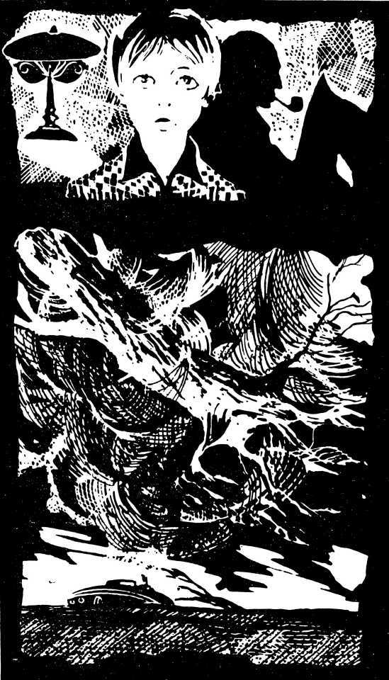 Остров Дельфинов<br />(Повесть и рассказы) - i_008.jpg