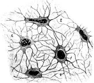 В тайниках человеческого тела - i_016.jpg