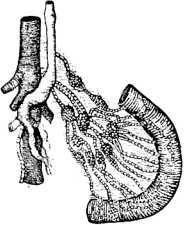 В тайниках человеческого тела - i_026.jpg