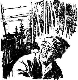 Находка беглого рудокопа - i_005.jpg