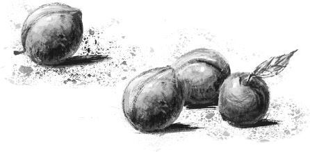 Удивительные истории о любви (сборник) - i_001.jpg