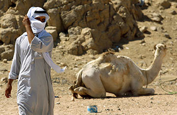 Н - 9 (СИ) - i_005.jpg