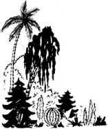 Человек идет!<br />(В дали времен. Т. VIII) - i_006.jpg