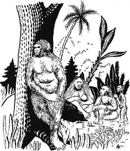 Человек идет!<br />(В дали времен. Т. VIII) - i_008.jpg