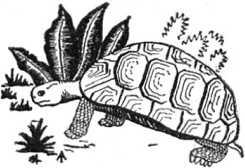 Человек идет!<br />(В дали времен. Т. VIII) - i_018.jpg