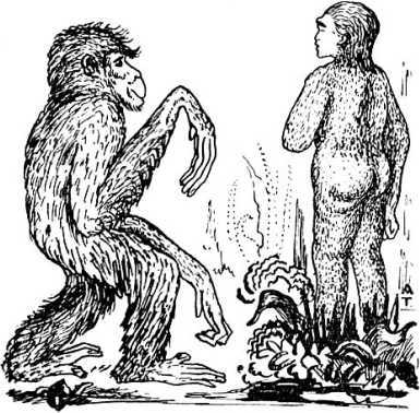 Человек идет!<br />(В дали времен. Т. VIII) - i_030.jpg