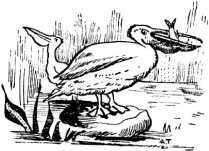 Человек идет!<br />(В дали времен. Т. VIII) - i_035.jpg