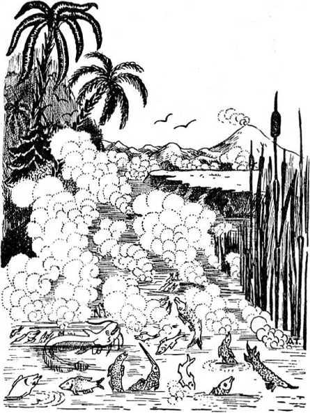 Человек идет!<br />(В дали времен. Т. VIII) - i_037.jpg