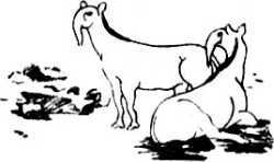 Человек идет!<br />(В дали времен. Т. VIII) - i_041.jpg