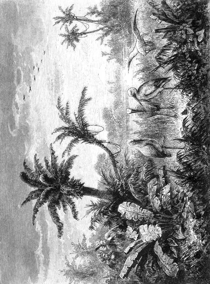 Сказки Вильгельма Гауфа - i_007.jpg