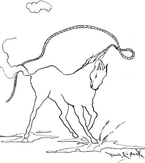 Аргентинские сказки - i_007.jpg