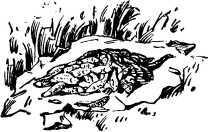 Охотничьи были<br />(Рассказы об охотниках и рыбаках) - i_084.jpg