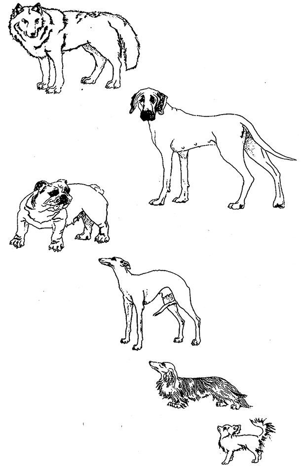 Восхождение на гору Невероятности - i_016.jpg