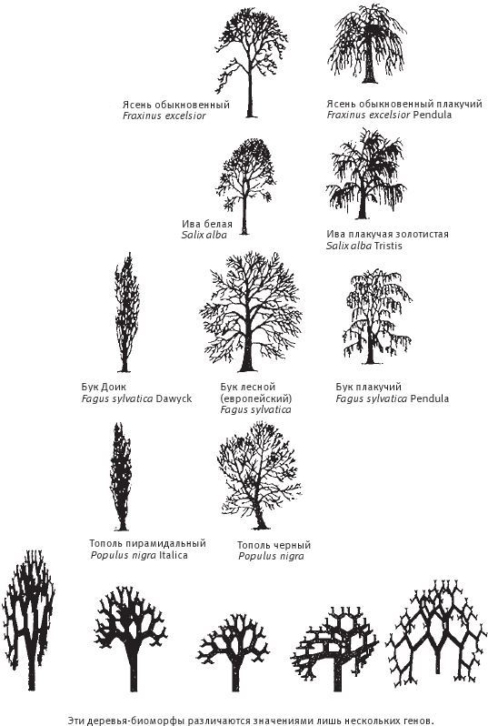 Восхождение на гору Невероятности - i_018.jpg