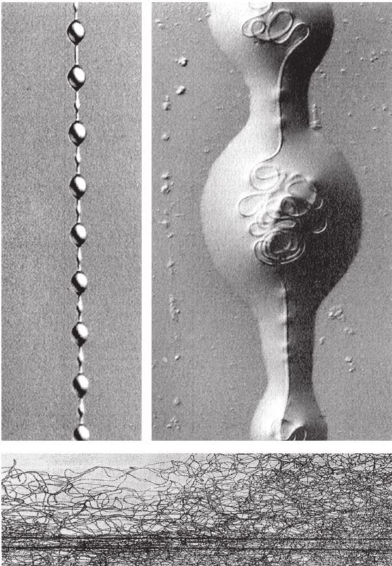 Восхождение на гору Невероятности - i_021.jpg