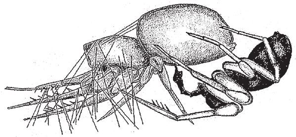 Восхождение на гору Невероятности - i_023.jpg