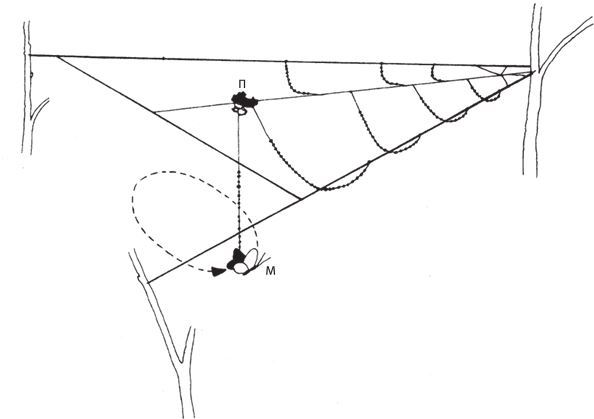 Восхождение на гору Невероятности - i_025.jpg